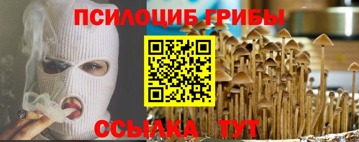 МЕФ кристаллы  ГАШ  Купить наркотики цена  APVP СК кристаллы  Ижевск  ЭКСТАЗИ  Бошки Шишки  Вход с VPN 