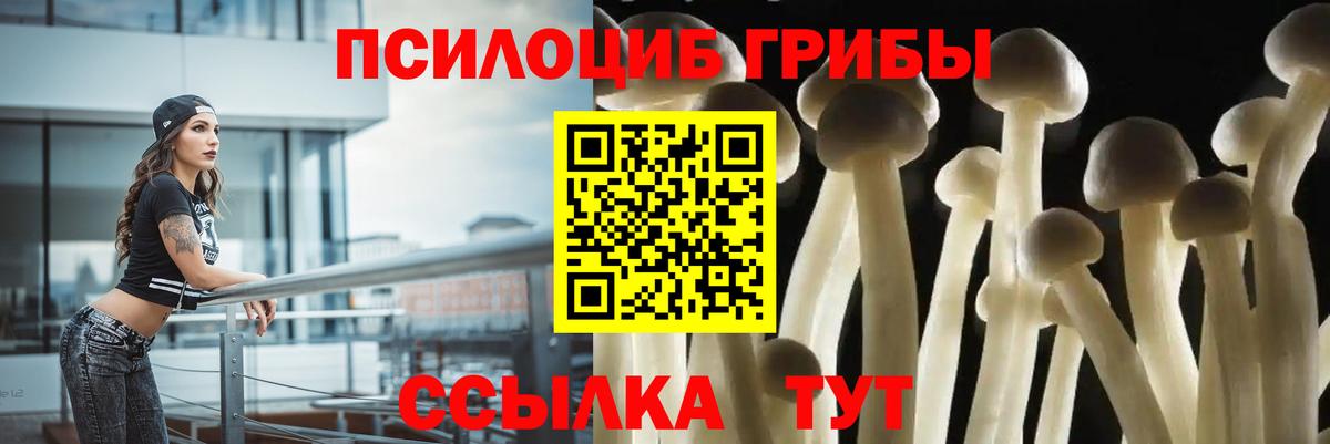 Галлюциногенные грибы Cubensis Ижевск