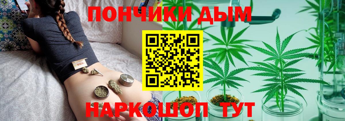 Конопля планчик Ижевск