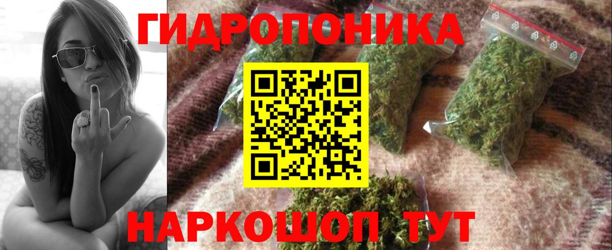 МАРИХУАНА ГИДРОПОН  Бошки Шишки ГИДРОПОН  Ижевск  Вход с VPN  МАРИХУАНА AK-47 